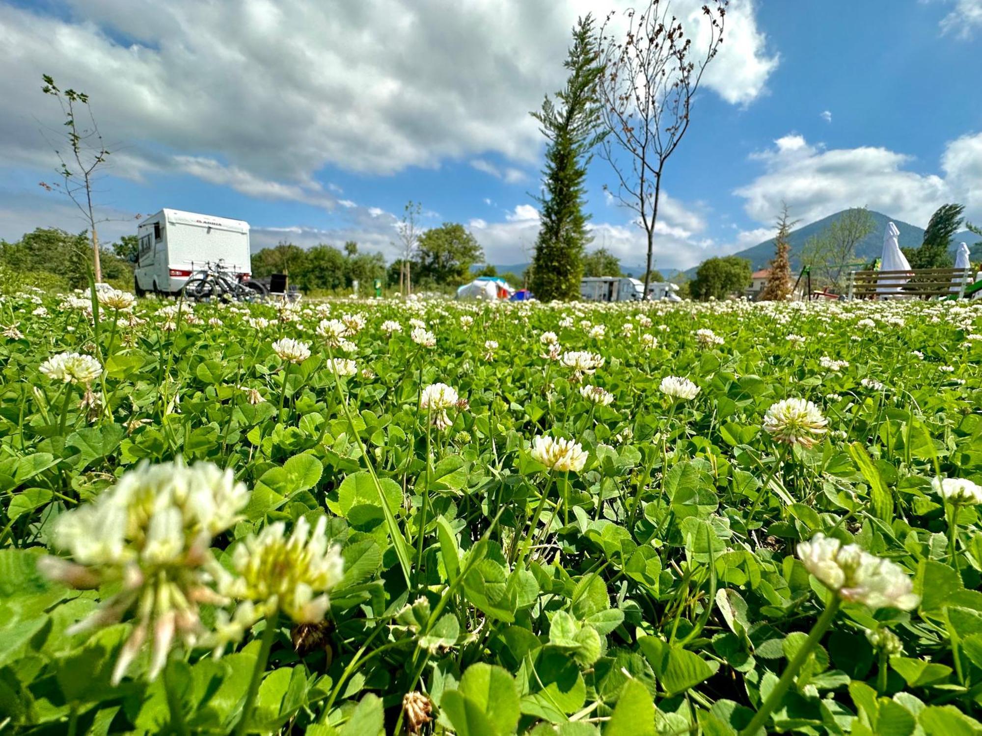 7 Lakes Camping Sapareva Banya Exterior foto